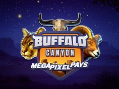 Buffalo Canyon I